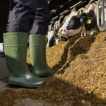 Darbo batai LIGHT BOOT OLIVE S4