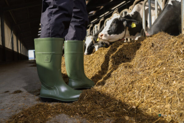 Darbo batai LIGHT BOOT OLIVE S4 - Image 3