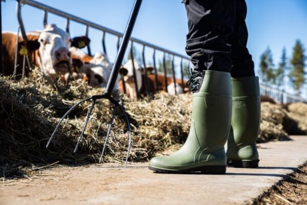 Darbo batai LIGHT BOOT LACES O4 - Image 5