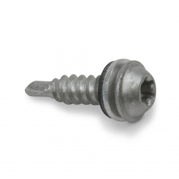 Savisriegis Torx (4.8 x 19)