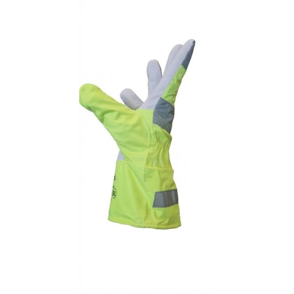Hi-Vis ožkos odos žieminės pirštinės - Image 4